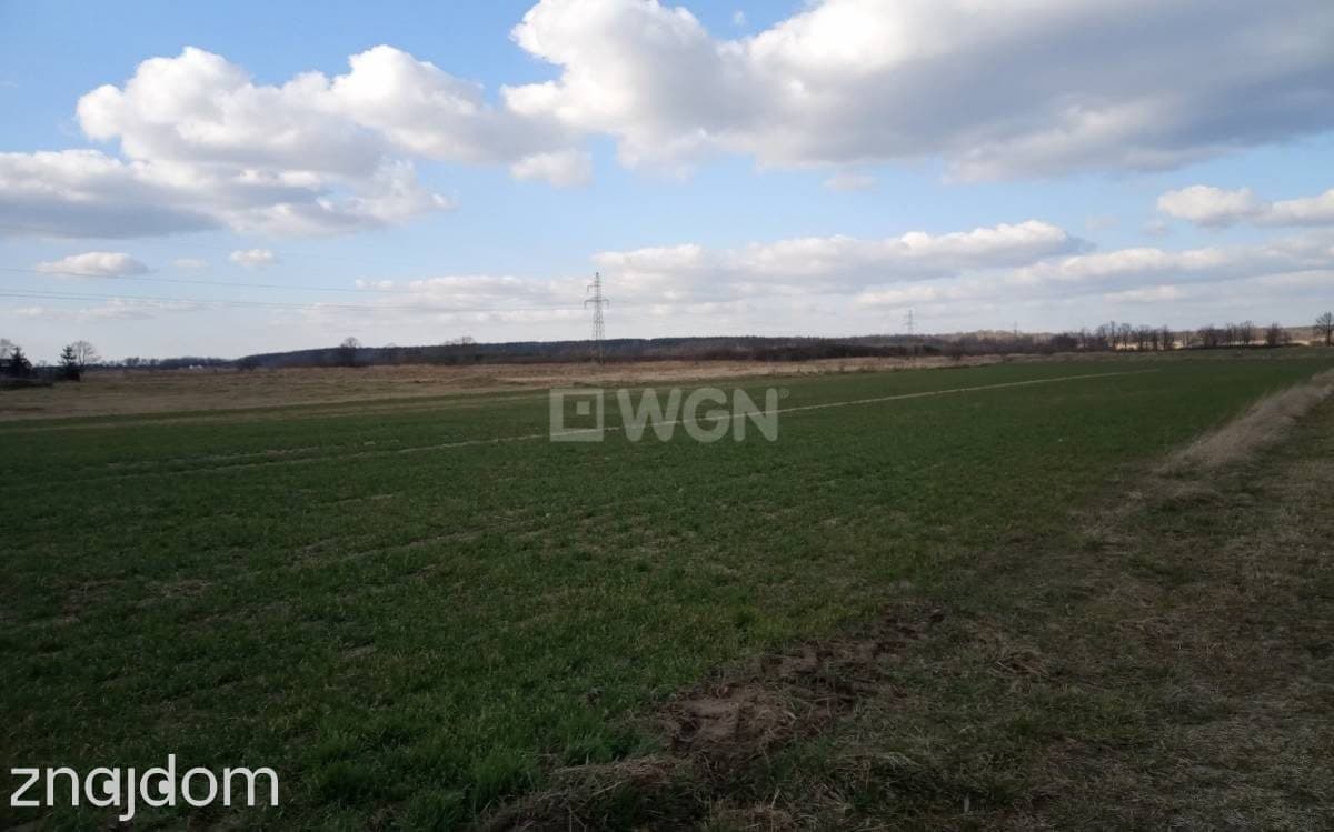 Działka na sprzedaż Grzymalin