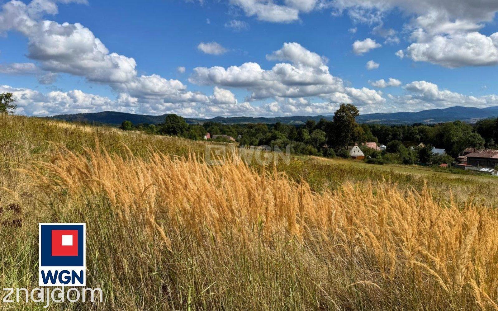 Działka na sprzedaż Stara Łomnica - zdjęcie 18