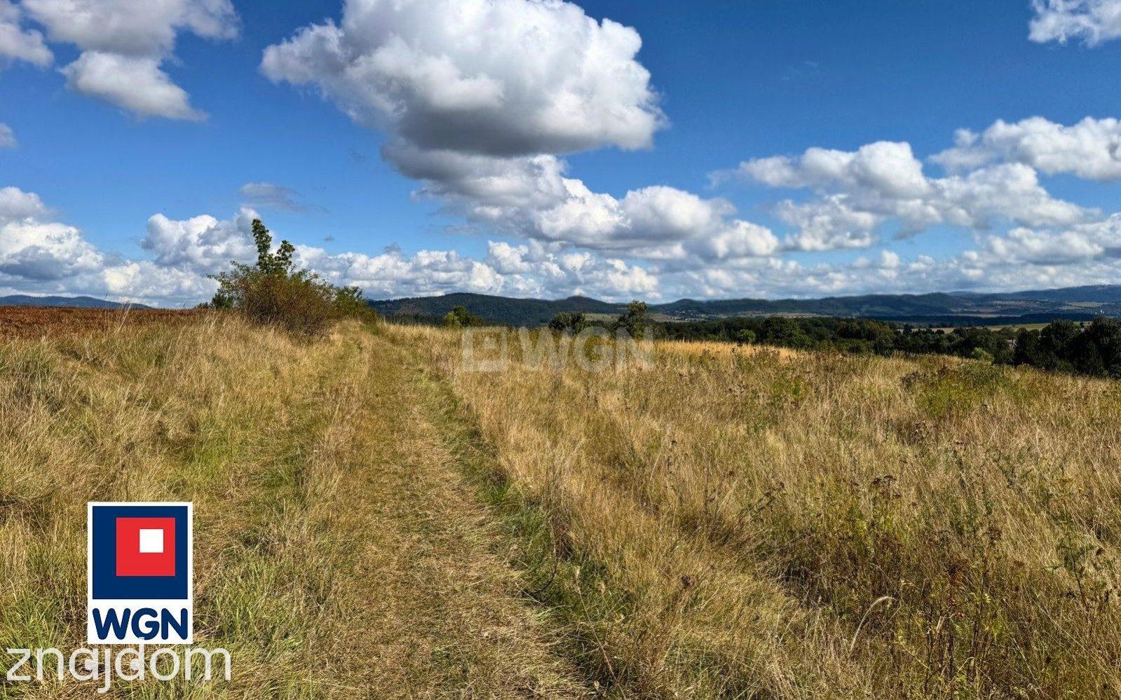 Działka na sprzedaż Stara Łomnica - zdjęcie 15