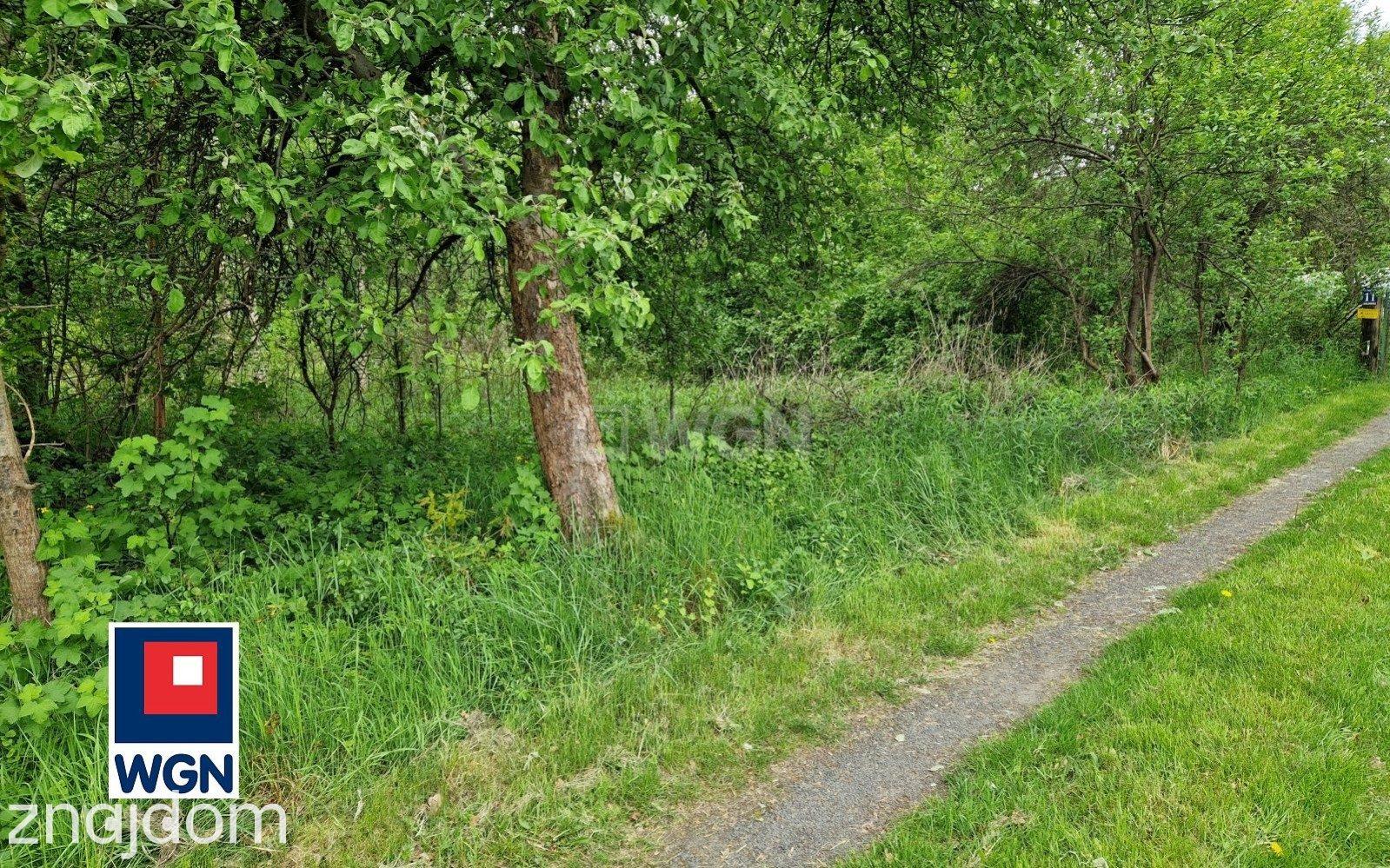 Grunt budowlany jednorodzinny na sprzedaż Małomice - Działka przy lesie