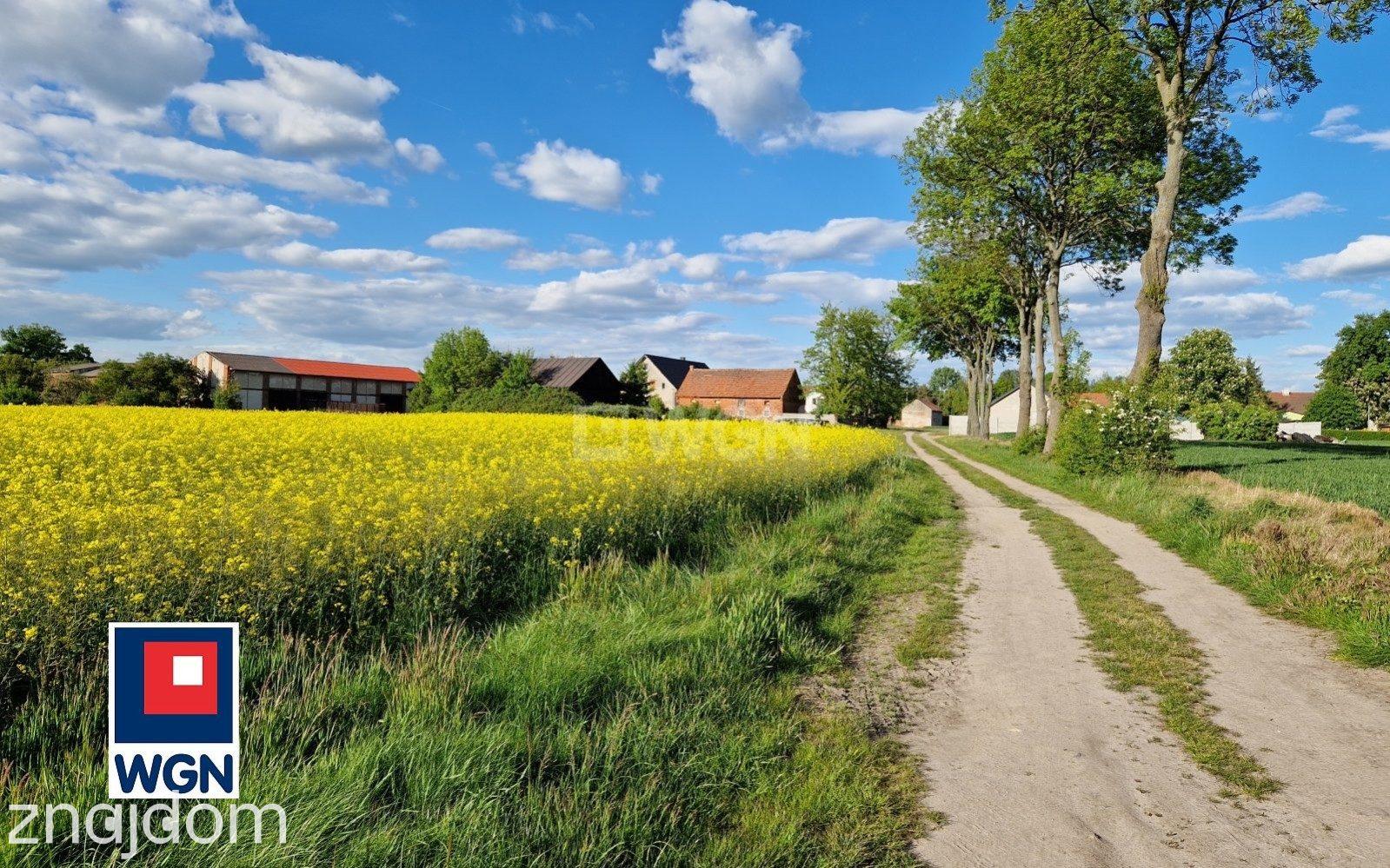 Działka na sprzedaż Dzikowice - zdjęcie 9