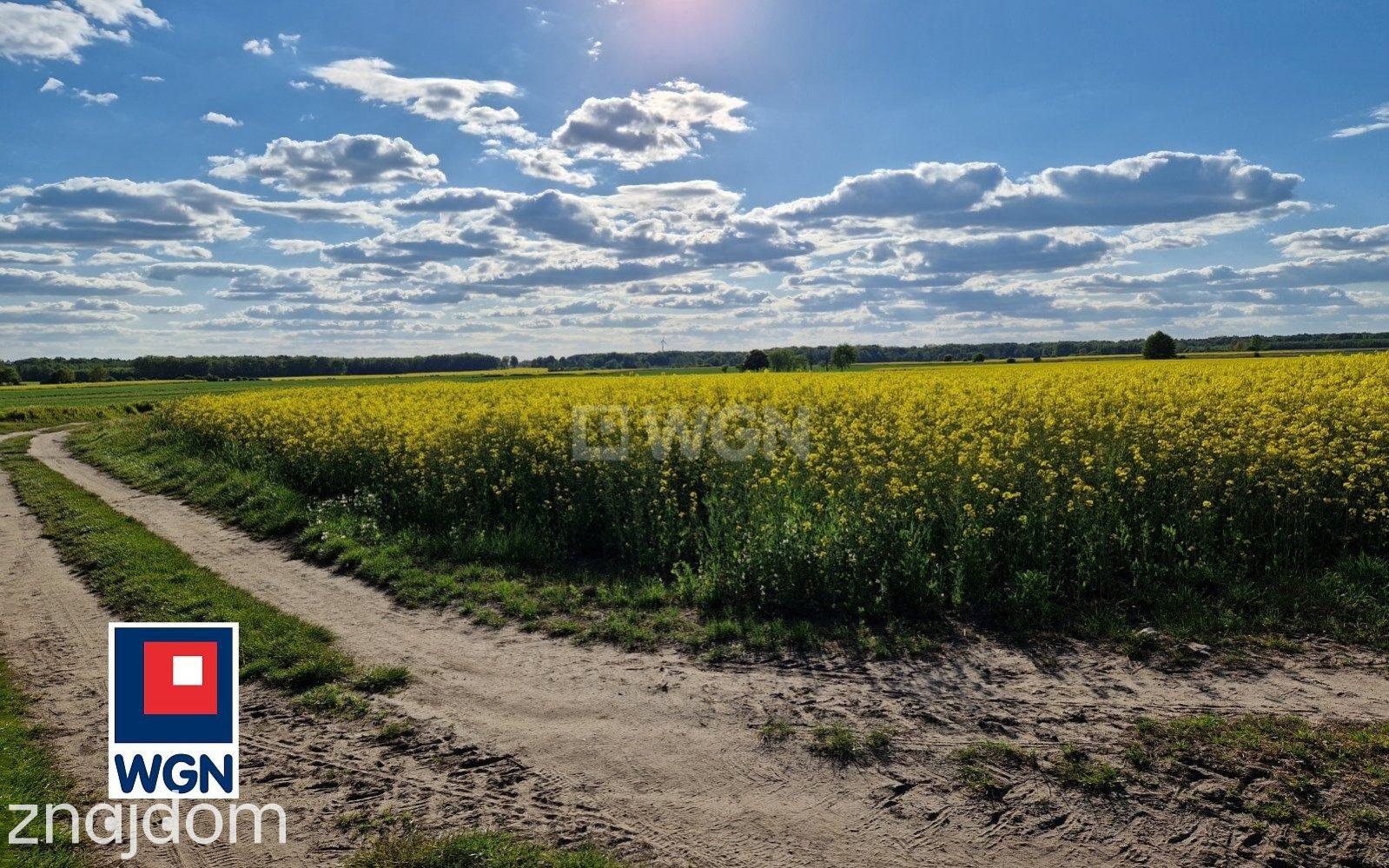 Działka na sprzedaż Dzikowice - zdjęcie 6