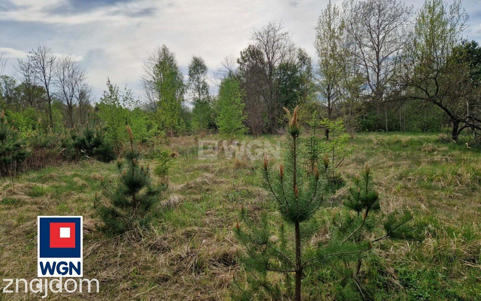 Grunt budowlany jednorodzinny na  sprzedaż Małomice - Działki budowlane przy lesie ? Osiedle Leśne, Małomice. - zdjęcie 3