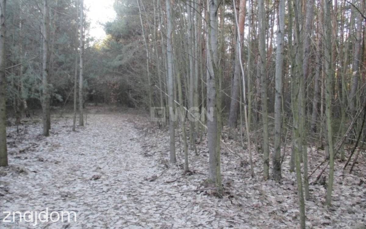 Działka na sprzedaż Pradła - zdjęcie 9