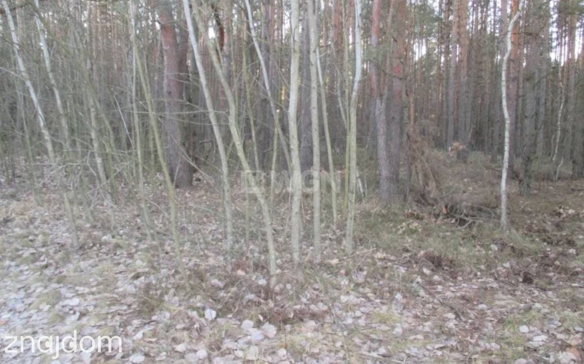 Działka na sprzedaż Pradła - zdjęcie 8
