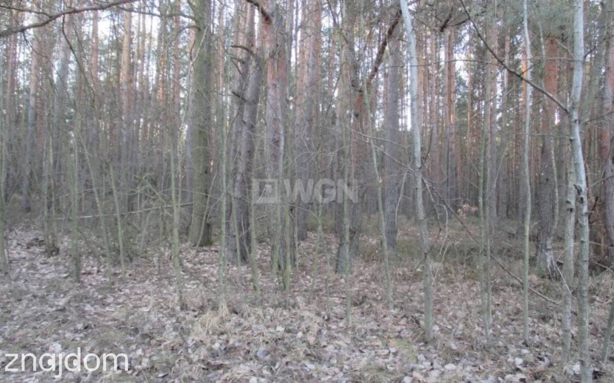 Działka na sprzedaż Pradła - zdjęcie 5