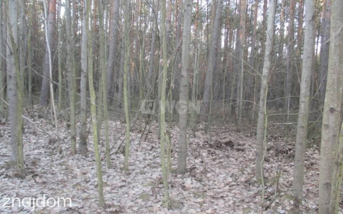 Działka na sprzedaż Pradła - zdjęcie 4