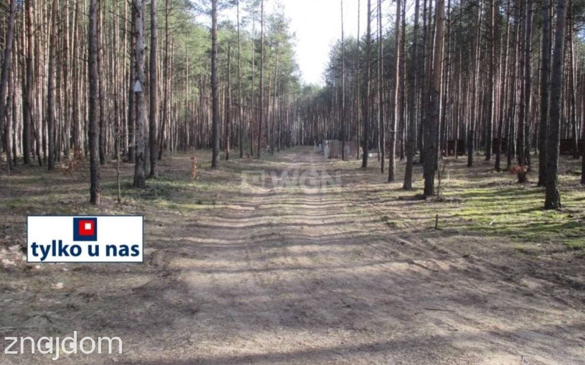 Działka na sprzedaż Przybynów - zdjęcie 5
