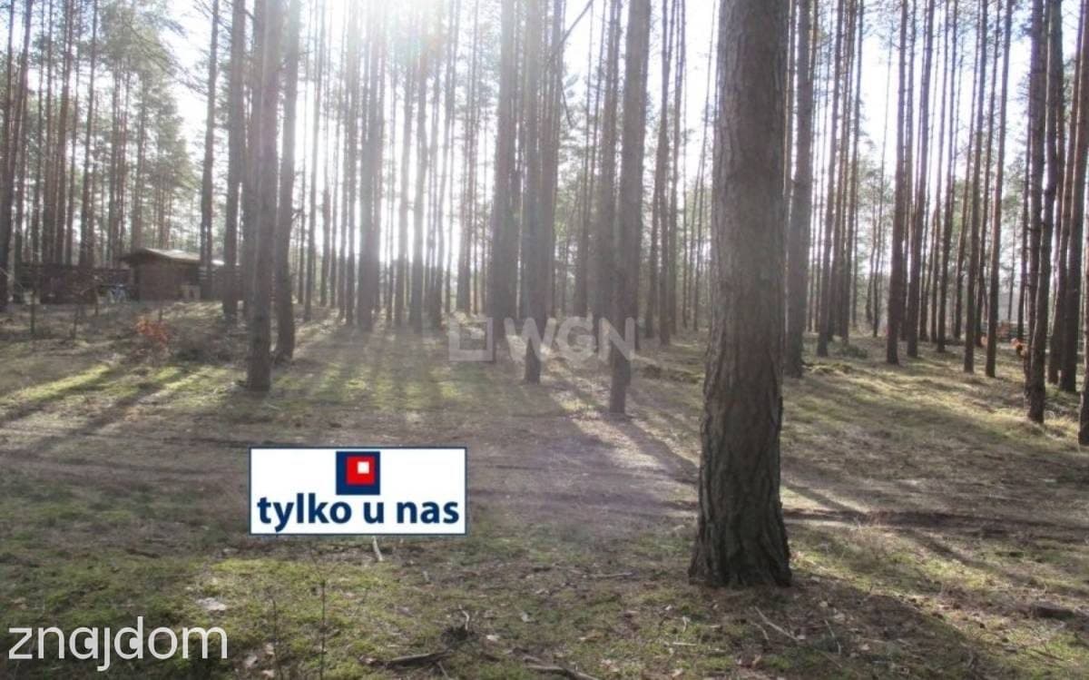 Działka na sprzedaż Przybynów - zdjęcie 4