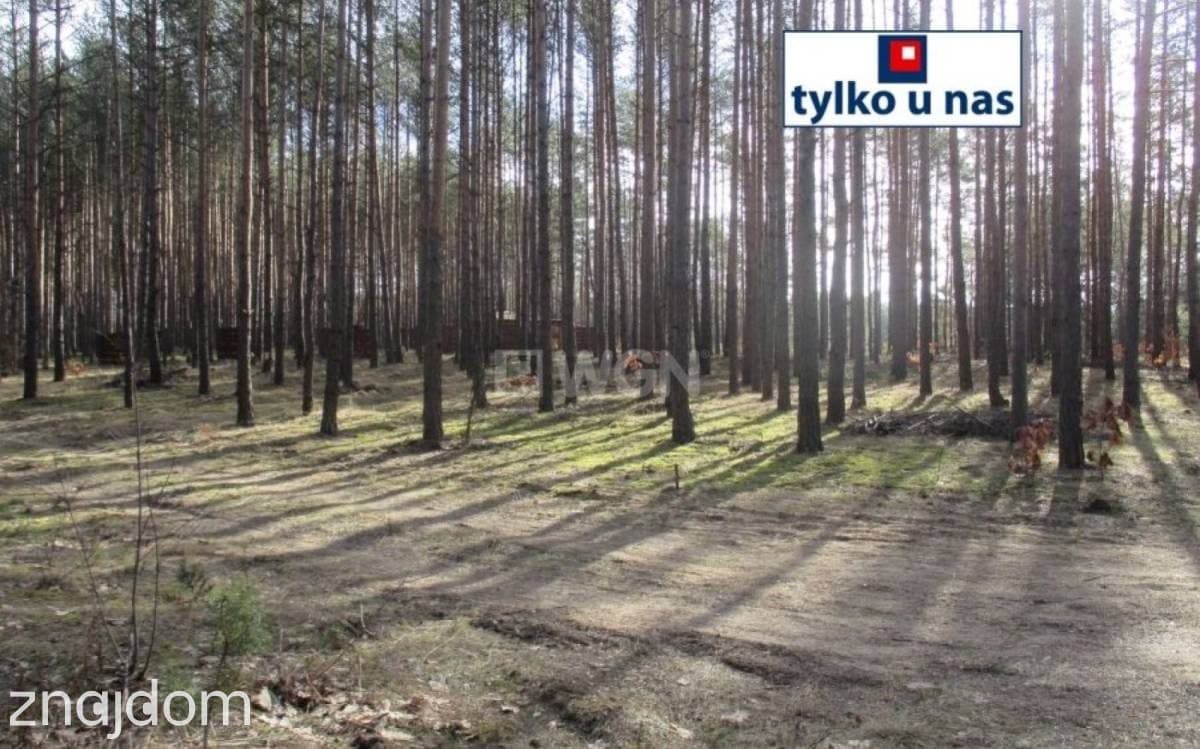 Działka na sprzedaż Przybynów - zdjęcie 3