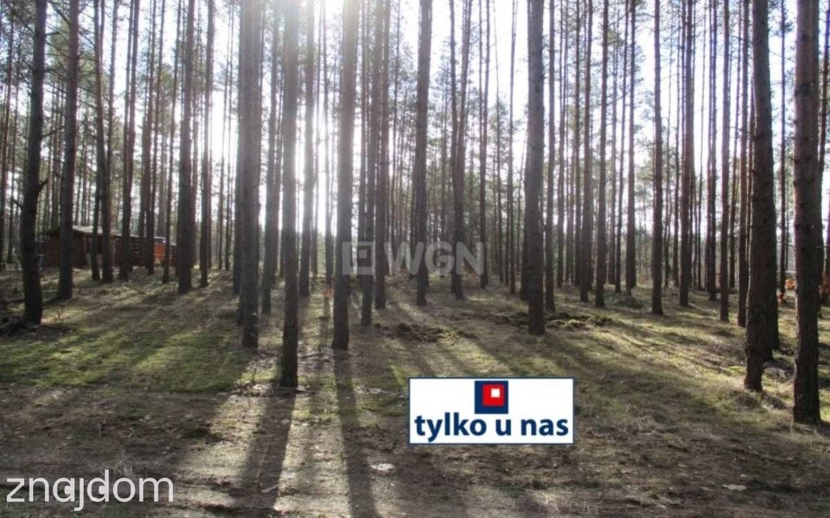 Działka na sprzedaż Przybynów - zdjęcie 2