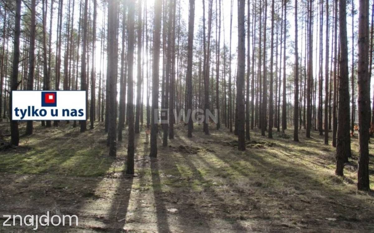 Działka na sprzedaż Przybynów