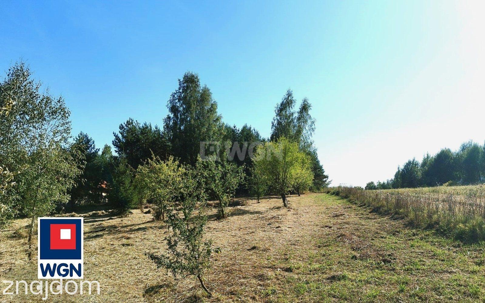 Grunt budowlany jednorodzinny na sprzedaż Studzianki - Studzianki- działka z warunkami zabudowy wśród natury - zdjęcie 6
