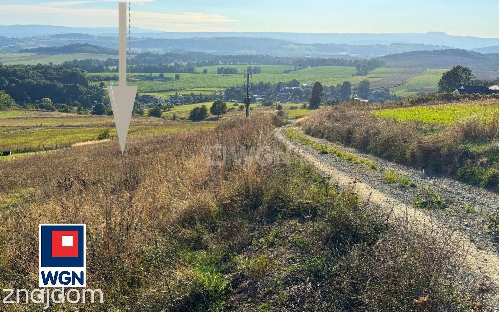 Grunt budowlany jednorodzinny na sprzedaż Bożków - Działka budowlana z panoramicznym widokiem na góry. - zdjęcie 18