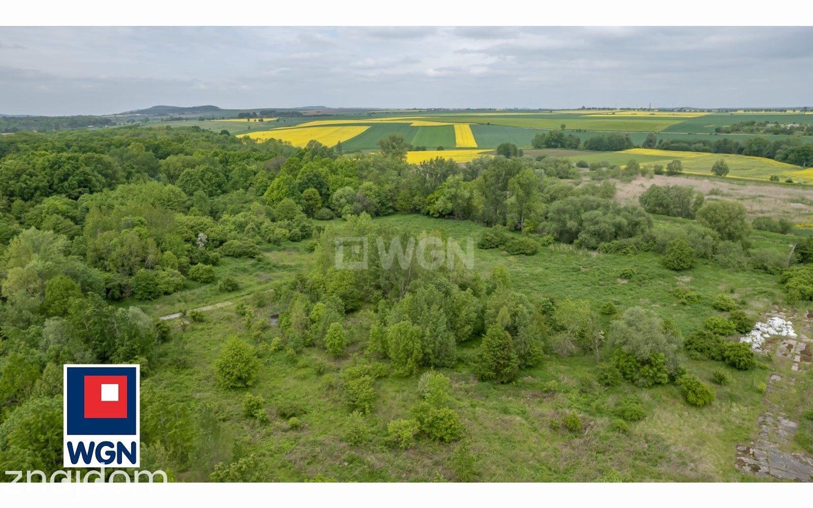Działka na sprzedaż Pastuchów - zdjęcie 2