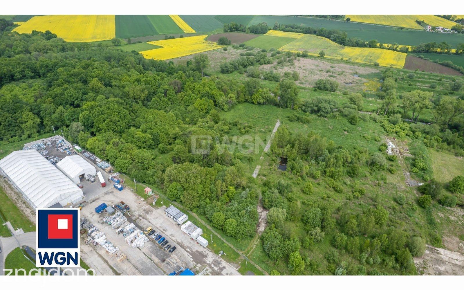 Działka na sprzedaż Pastuchów - zdjęcie 11