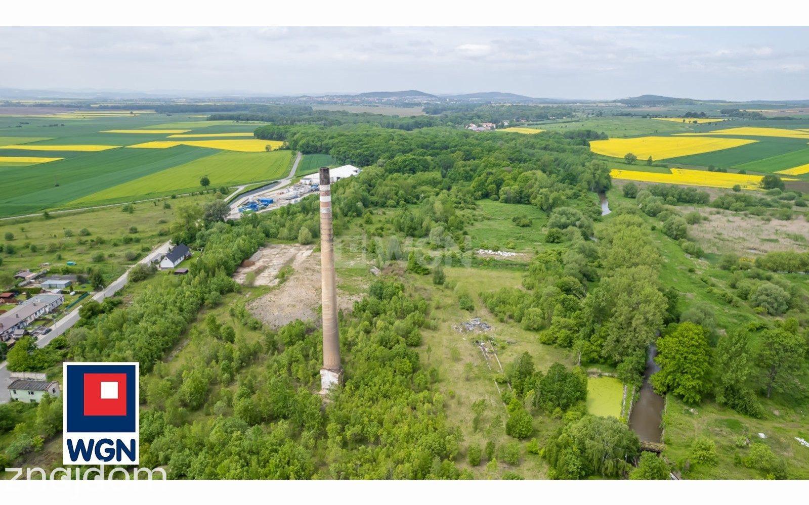 Działka na sprzedaż Pastuchów - zdjęcie 6
