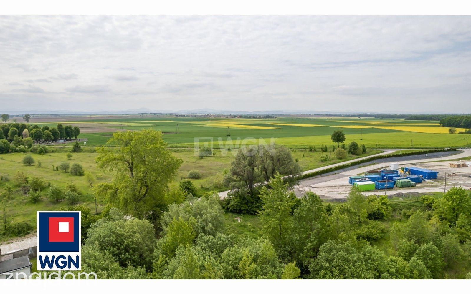 Działka na sprzedaż Pastuchów - zdjęcie 4