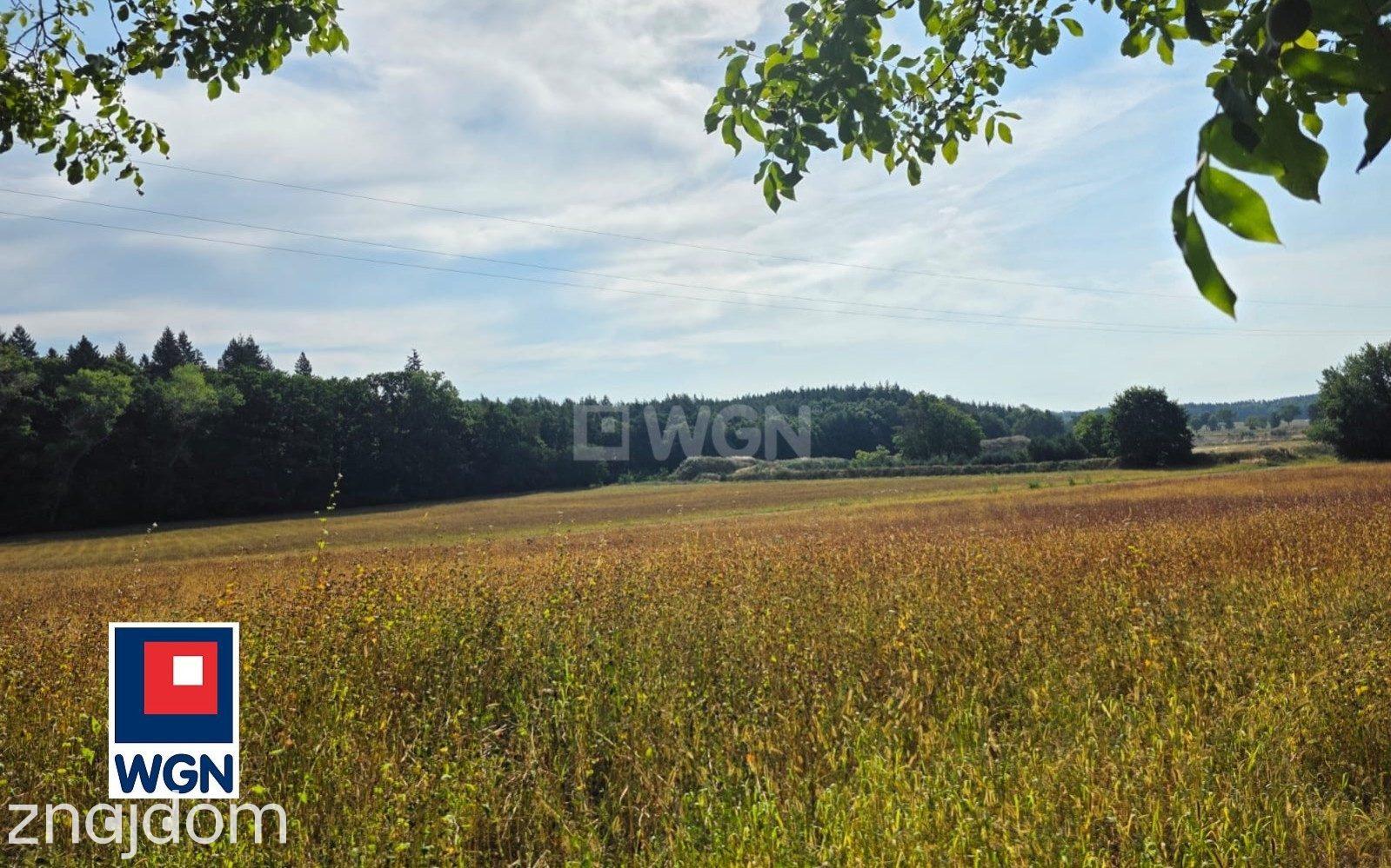 Działka na sprzedaż Zimna Brzeźnica - zdjęcie 5