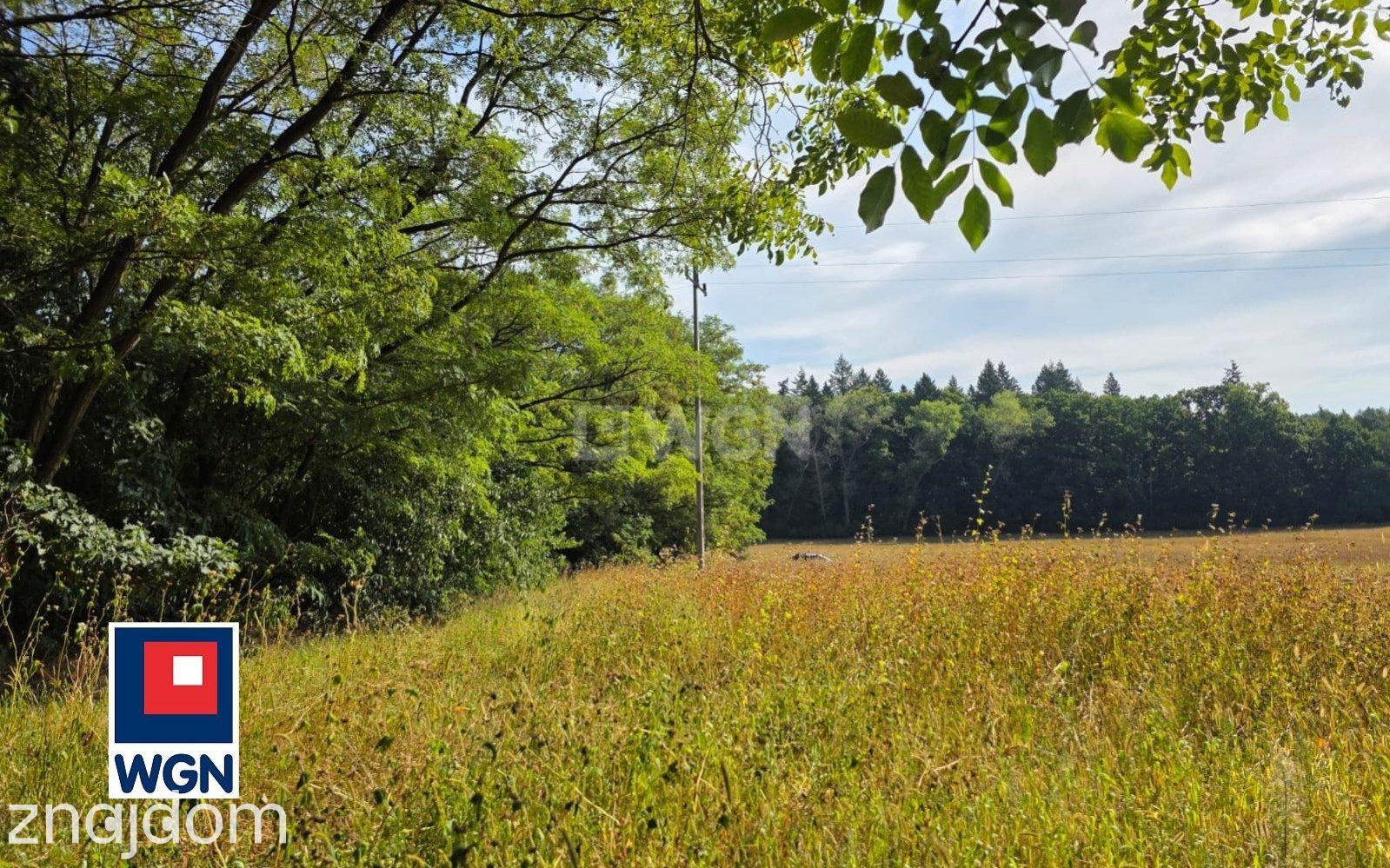 Działka na sprzedaż Zimna Brzeźnica - zdjęcie 4