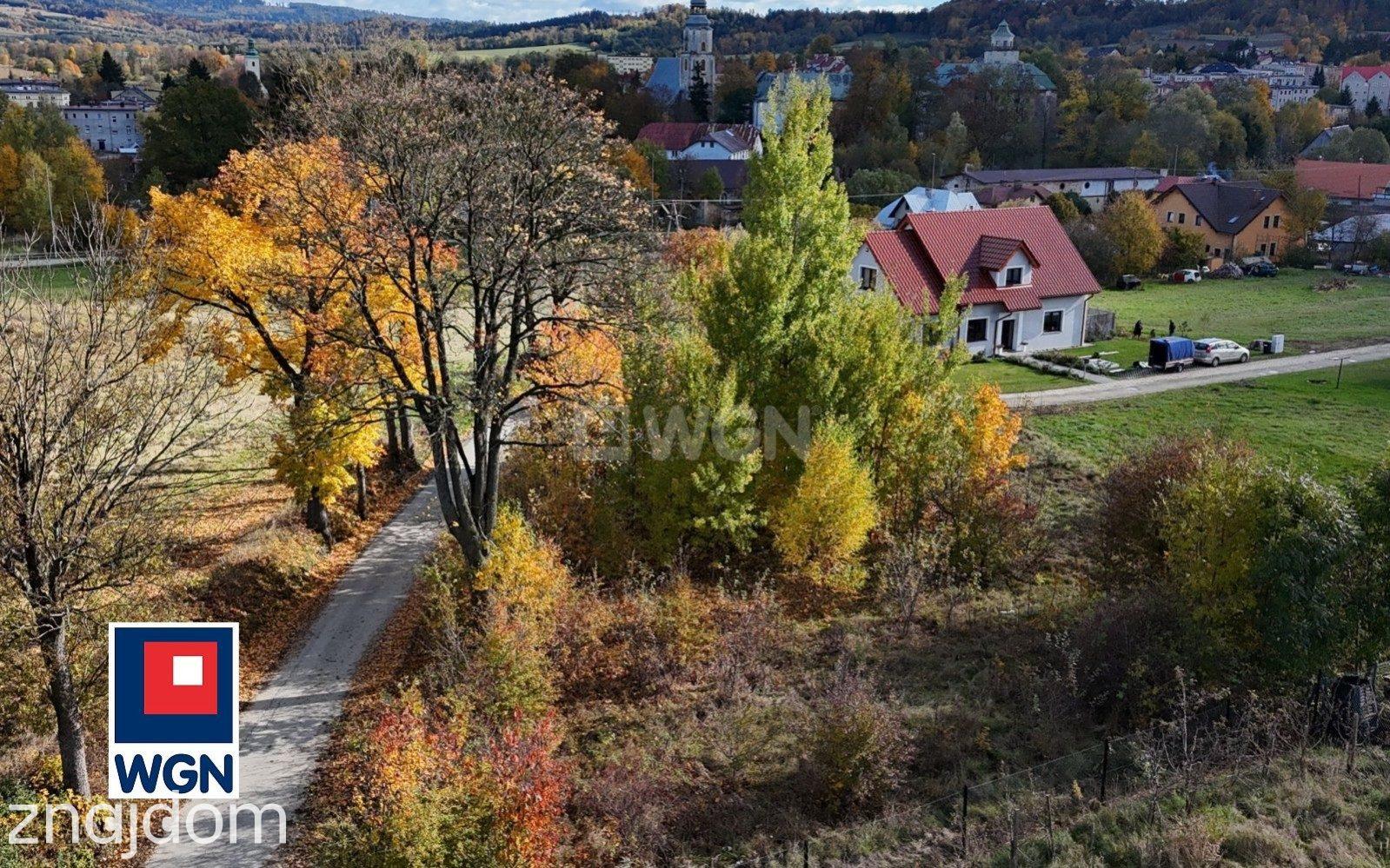 Grunt budowlany jednorodzinny na  sprzedaż Międzylesie - Działka budowlana z widokiem na góry. - zdjęcie 12