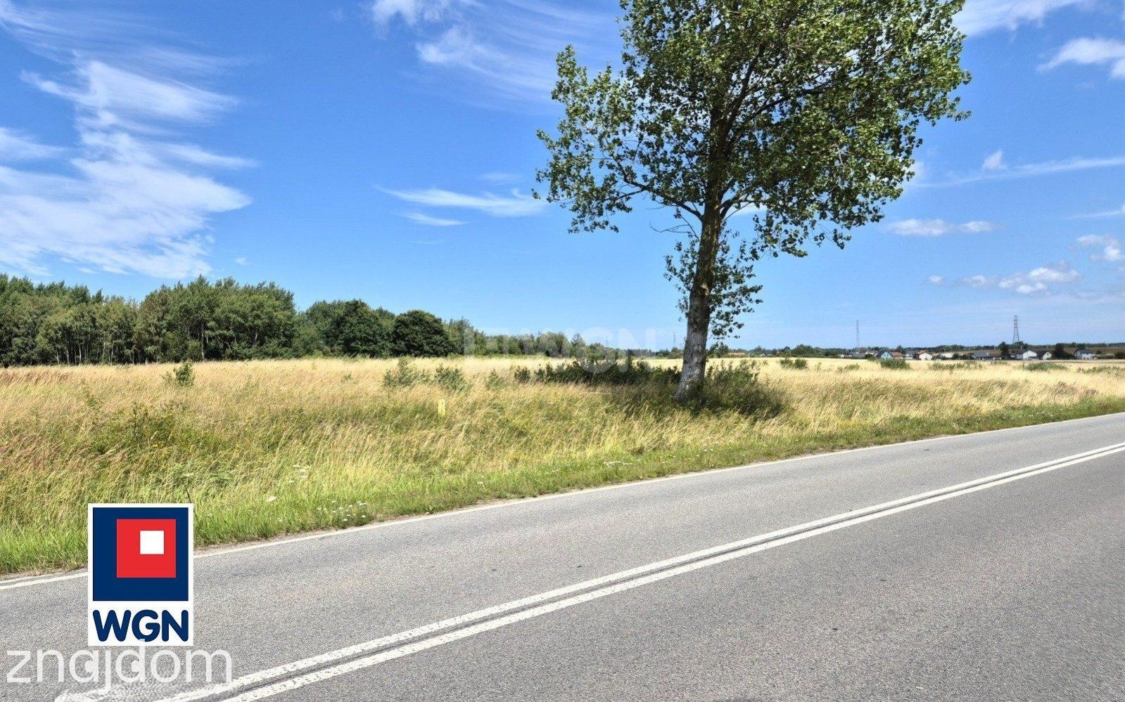 Grunt rolny na sprzedaż Rewal - Śliwin, 2,1793 ha gruntu z potencjałem inwestycyjnym w gminie Rewal - zdjęcie 4
