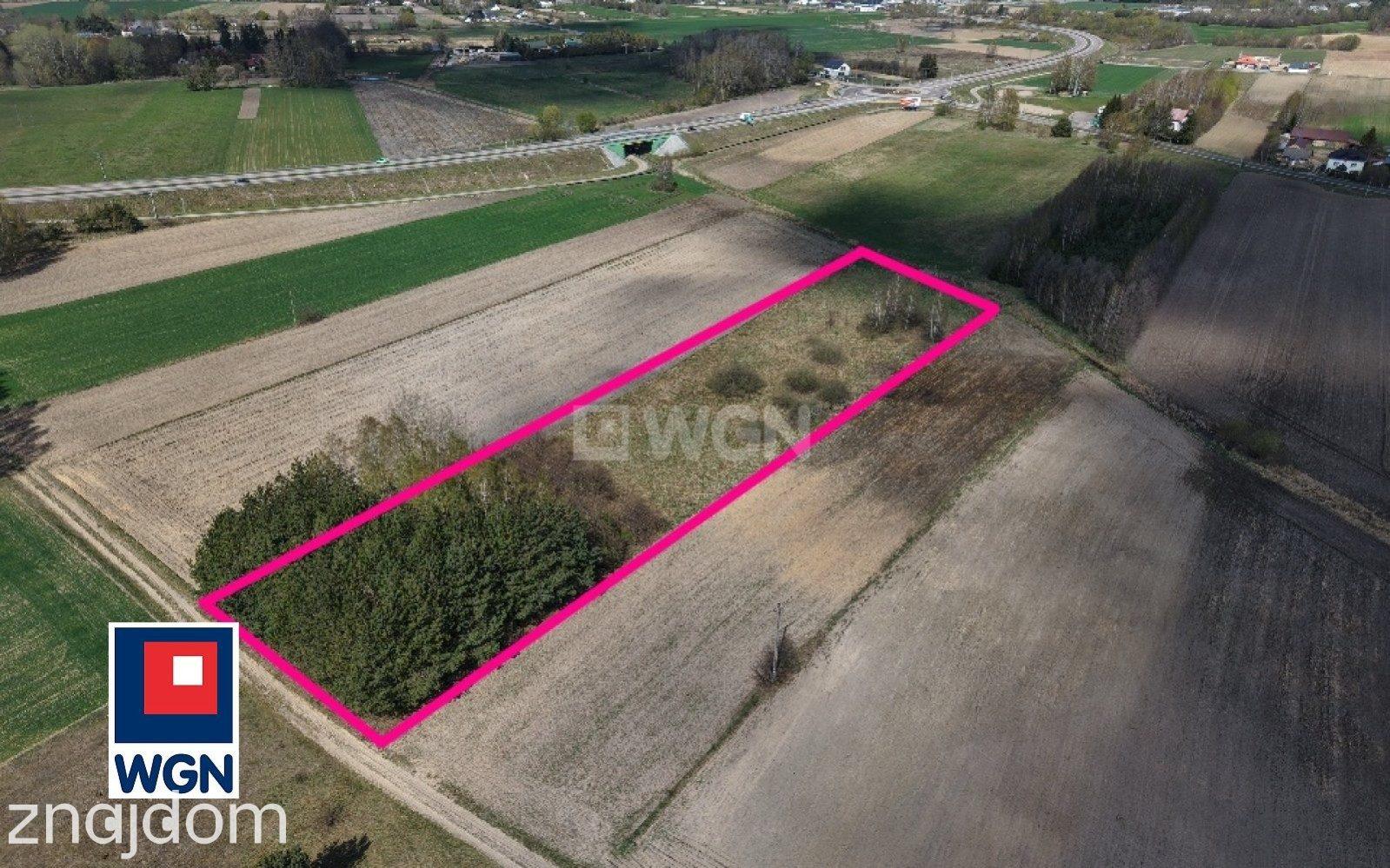 Grunt budowlany jednorodzinny na sprzedaż Niecki - Niecki - działka 6600 m2 - zdjęcie 4