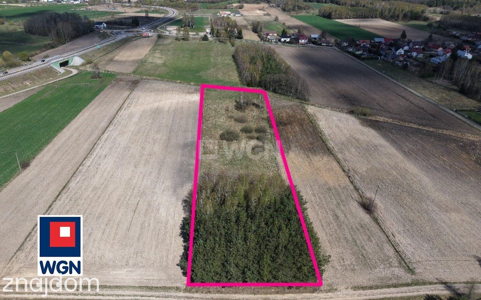 Grunt budowlany jednorodzinny na sprzedaż Niecki - Niecki - działka 6600 m2 - zdjęcie 3