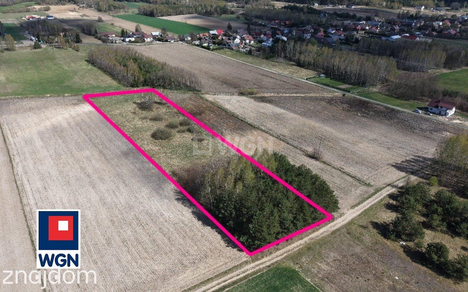 Grunt budowlany jednorodzinny na sprzedaż Niecki - Niecki - działka 6600 m2 - zdjęcie 2