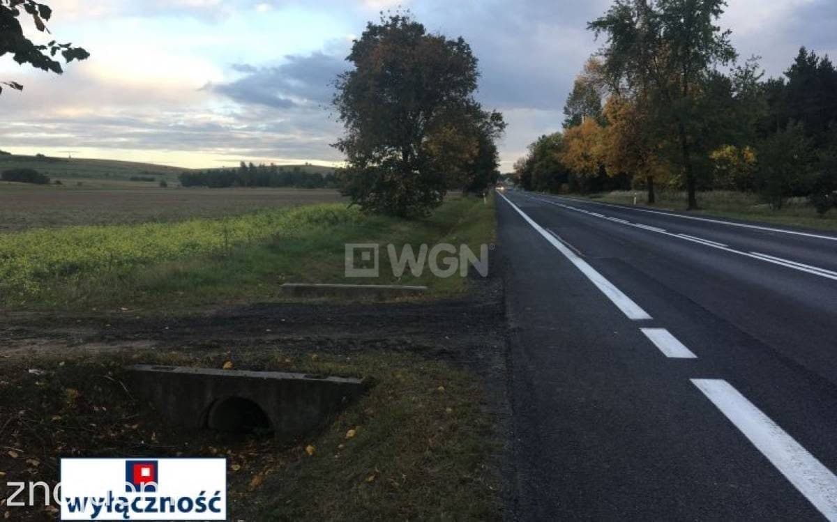 Działka na sprzedaż Lgota Murowana - zdjęcie 7