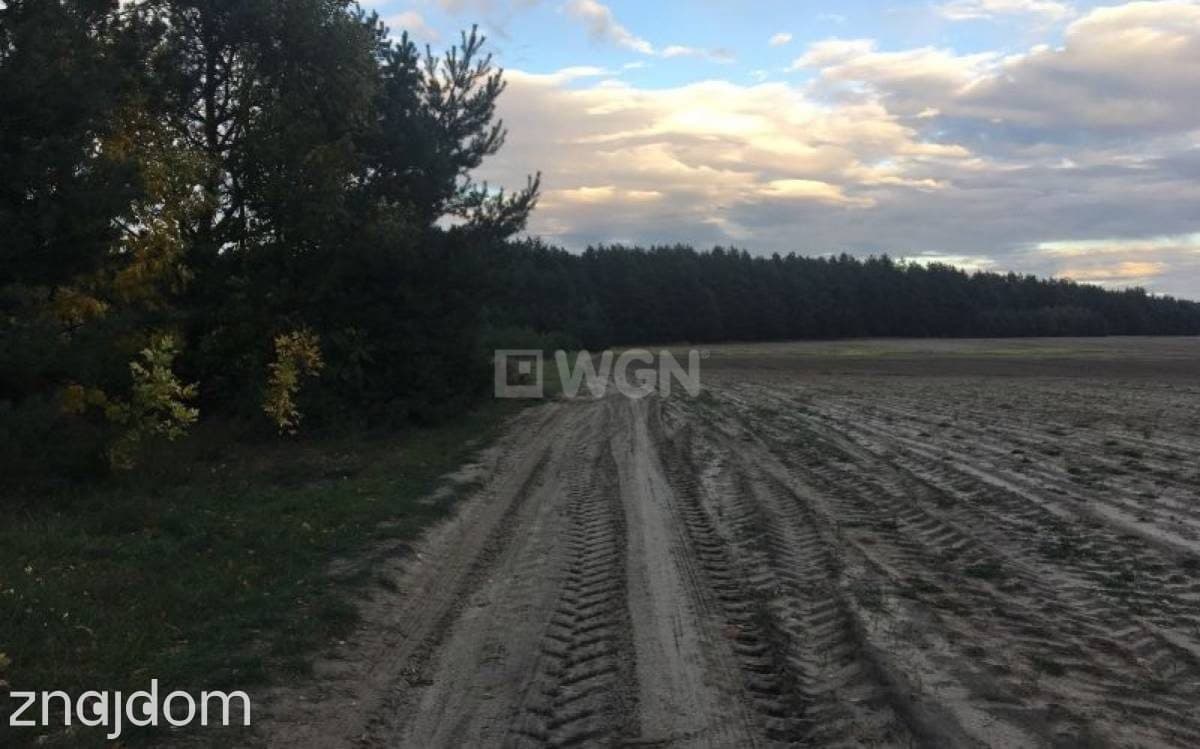 Działka na sprzedaż Lgota Murowana - zdjęcie 6