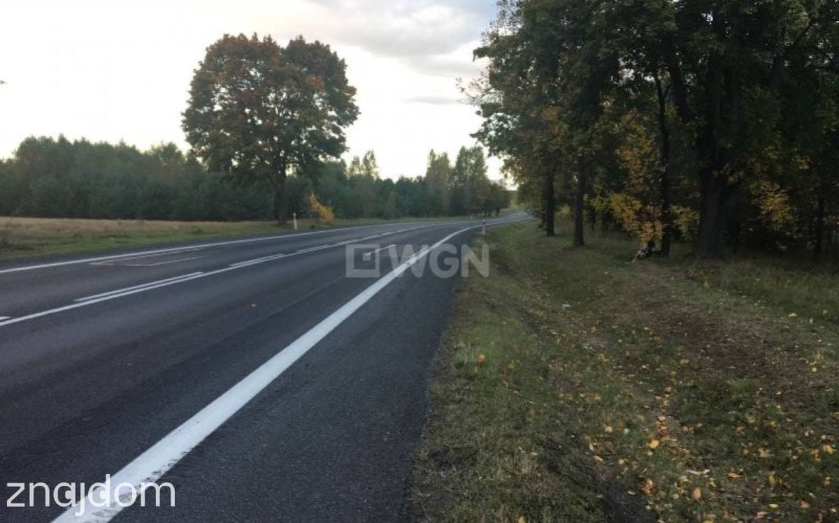 Działka na sprzedaż Lgota Murowana - zdjęcie 4