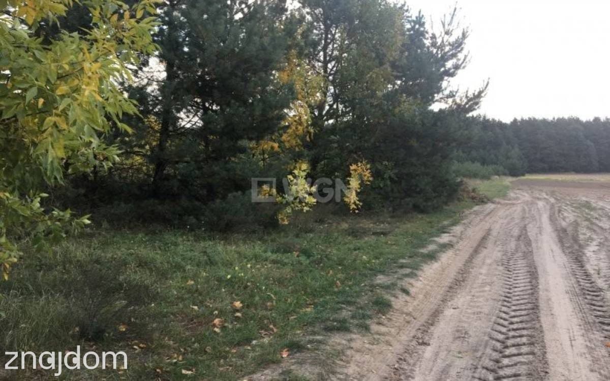 Działka na sprzedaż Lgota Murowana - zdjęcie 3