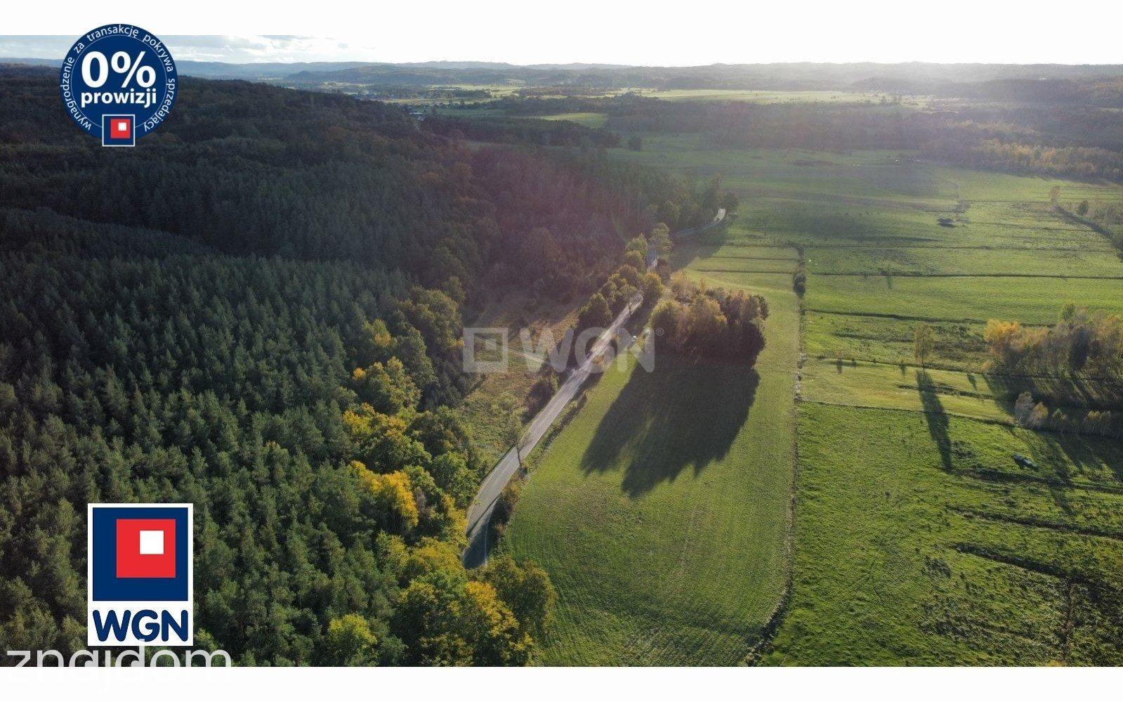 Grunt bez warunków zabudowy na sprzedaż Zamostne - Działki Budowlane z linia lasu! Zamostne