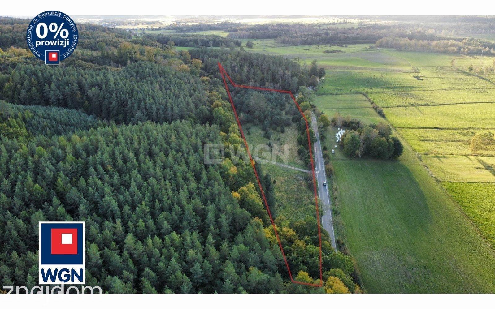Grunt bez warunków zabudowy na sprzedaż Zamostne - Działki Budowlane z linia lasu! Zamostne - zdjęcie 10