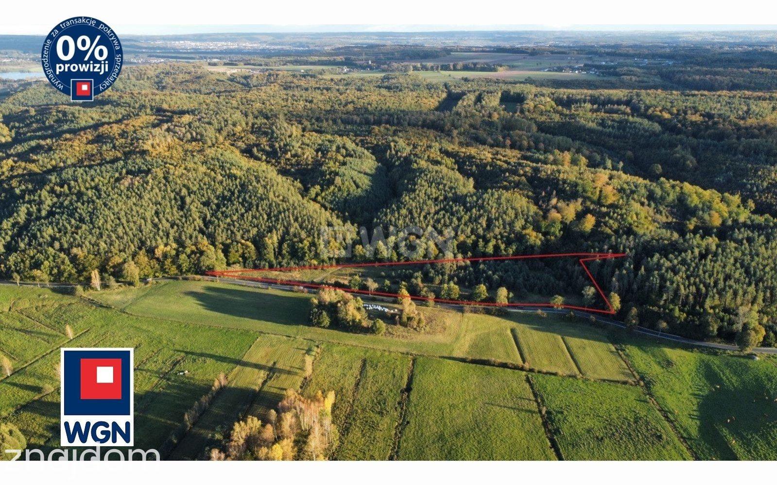 Grunt bez warunków zabudowy na sprzedaż Zamostne - Działki Budowlane z linia lasu! Zamostne - zdjęcie 9