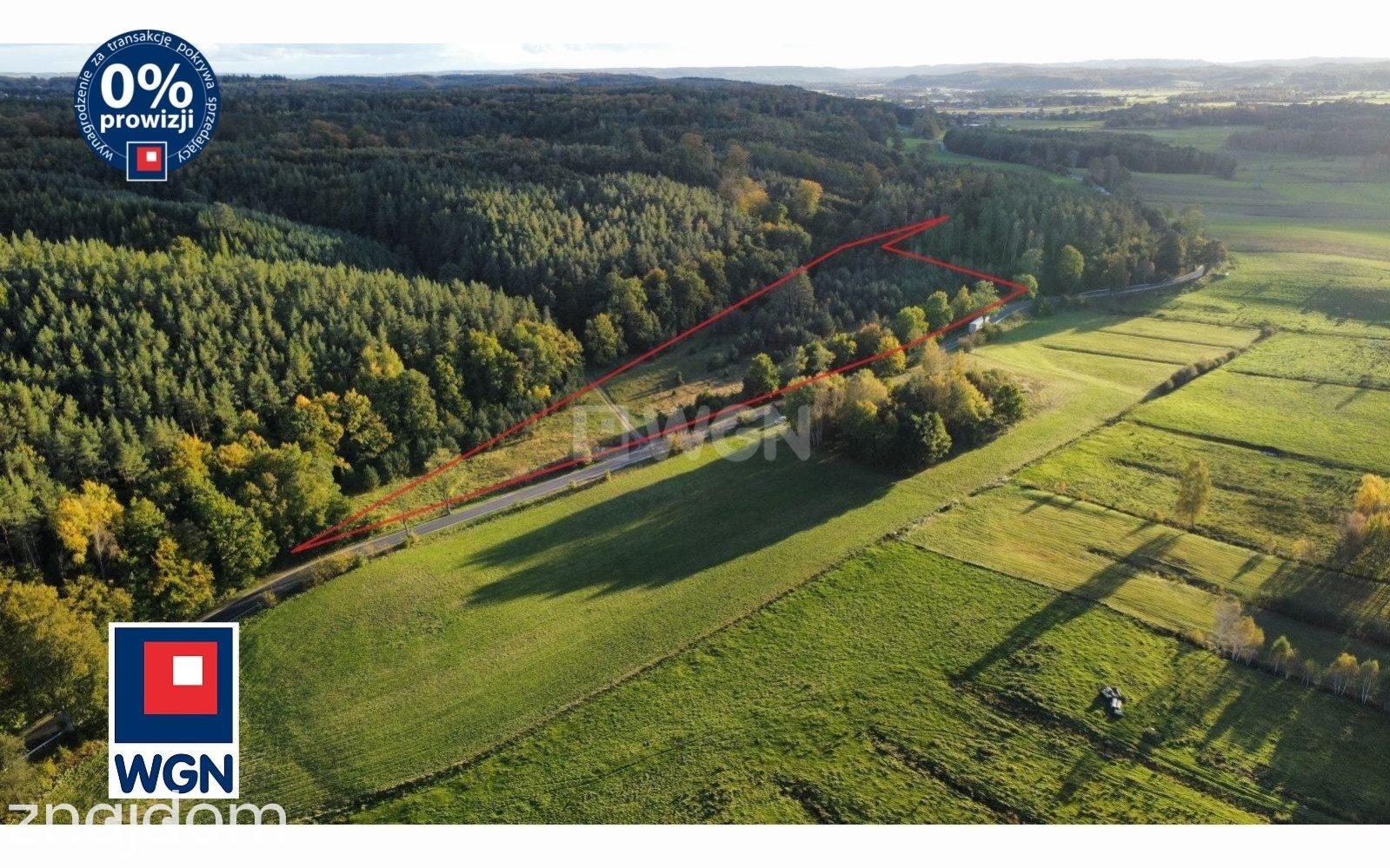 Grunt bez warunków zabudowy na sprzedaż Zamostne - Działki Budowlane z linia lasu! Zamostne - zdjęcie 7
