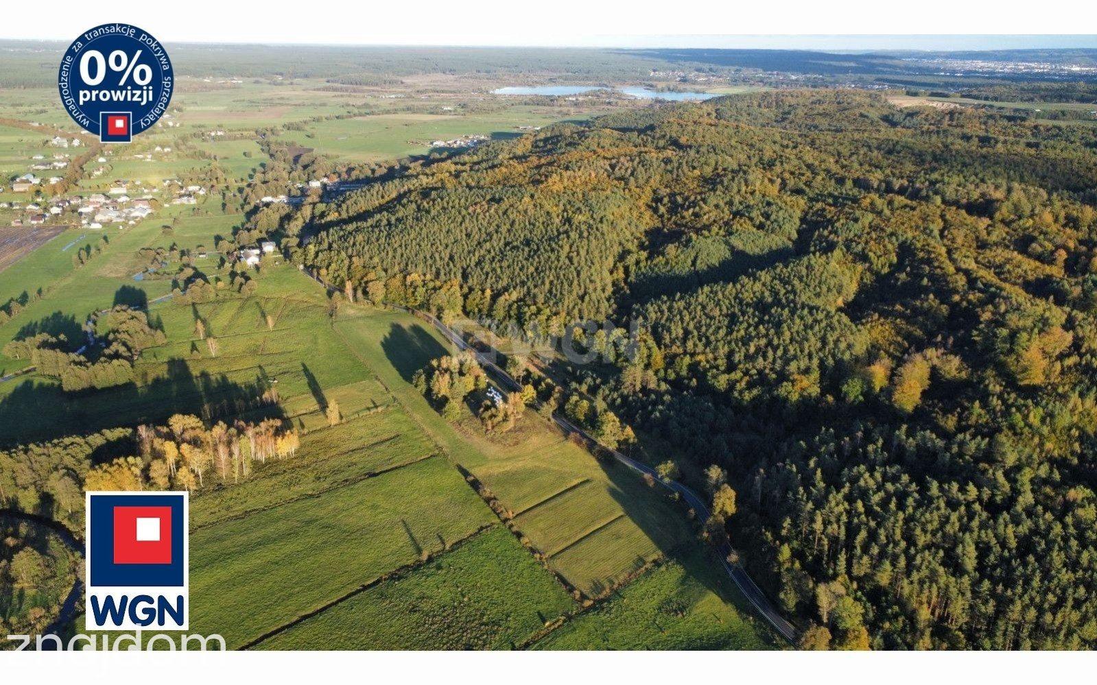 Grunt bez warunków zabudowy na sprzedaż Zamostne - Działki Budowlane z linia lasu! Zamostne - zdjęcie 5
