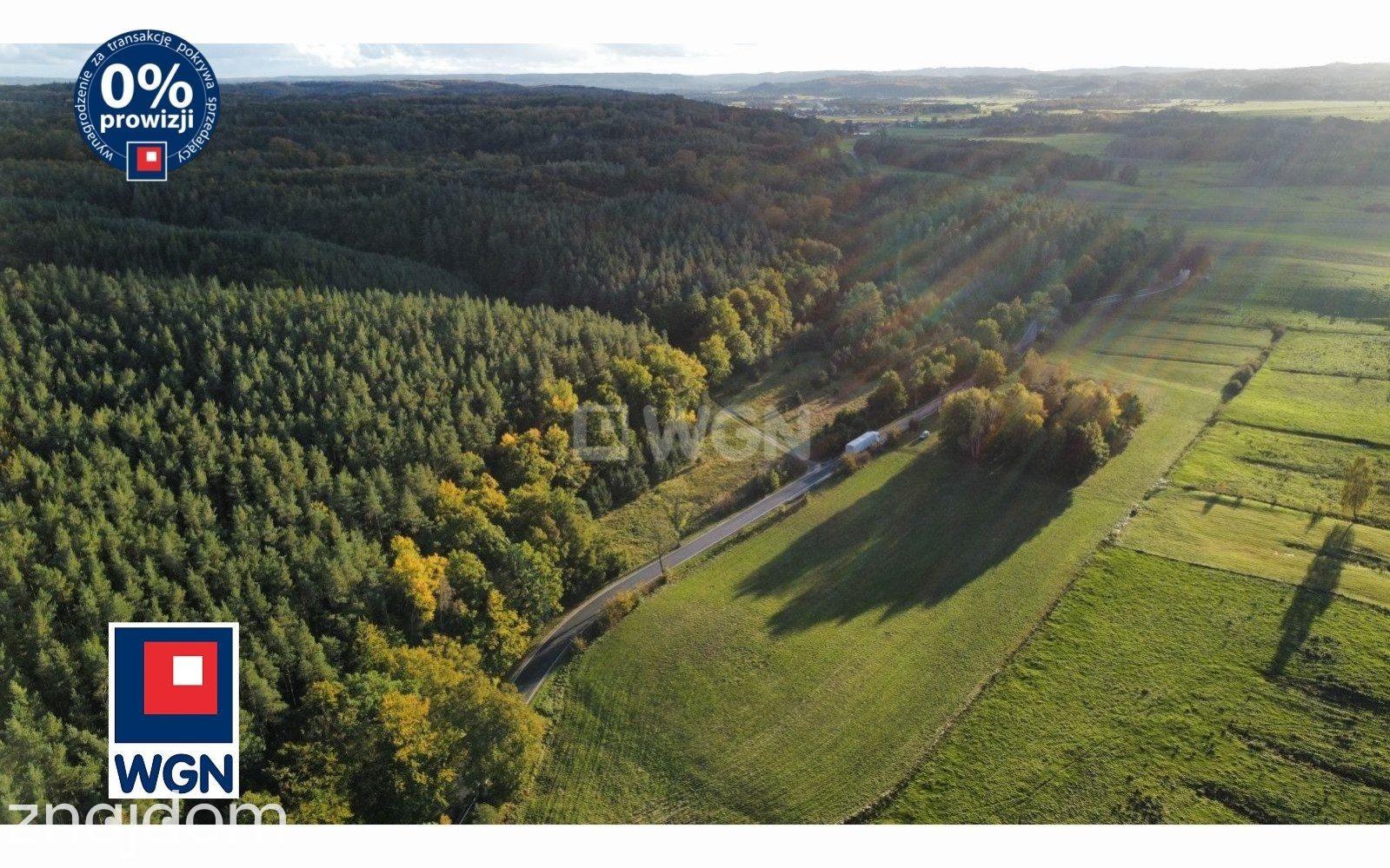 Grunt bez warunków zabudowy na sprzedaż Zamostne - Działki Budowlane z linia lasu! Zamostne - zdjęcie 2