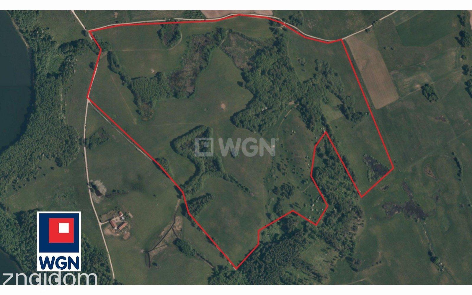 Grunt budowlany jednorodzinny na sprzedaż Krzywe - Działka inwestycyjna Mazury 49 ha z warunkami zabudowy