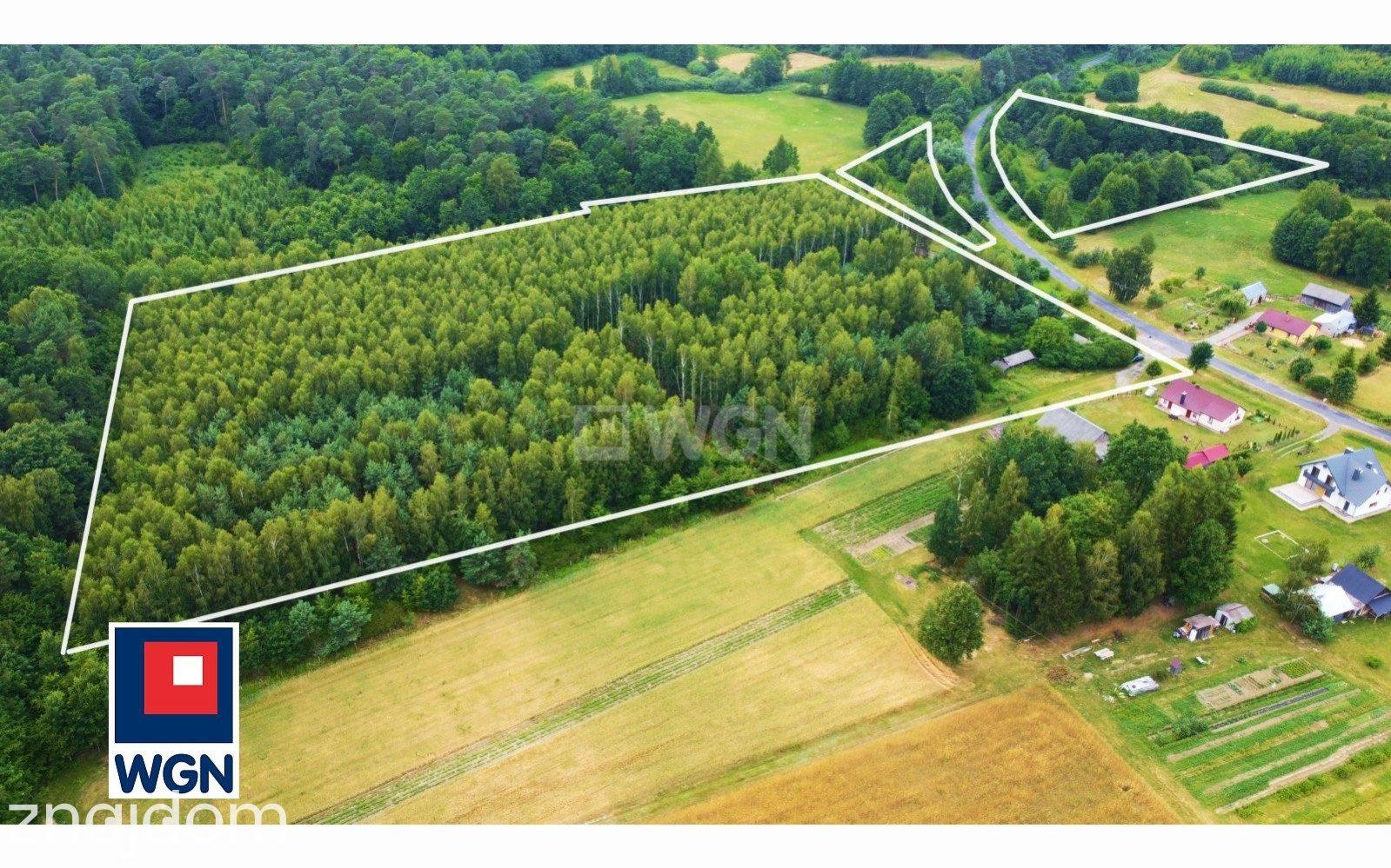 Grunt rolny na  sprzedaż Świerszczów - Działka rolna | zalesiona | z pozostałością siedliska, powierzchnia 4,26 ha, Świerszczów, gm. Cyców. - zdjęcie 9