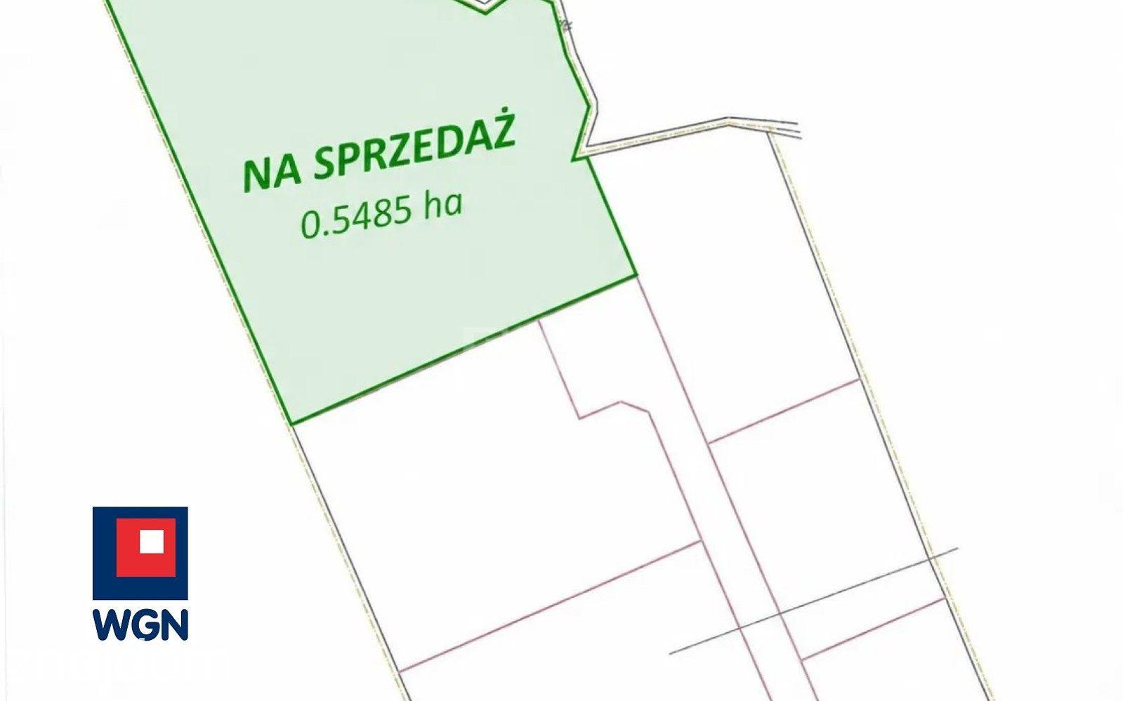 Grunt budowlany jednorodzinny na sprzedaż Niewodnica Nargilewska-Ko - Działka 5485 m? z warunkami zabudowy ? Niewodnica Nargilewska - Kolonia - zdjęcie 3
