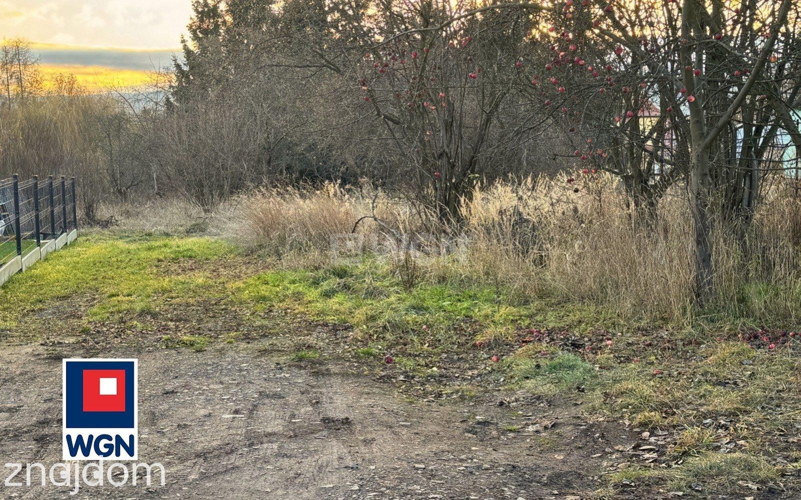 Grunt budowlany jednorodzinny na  sprzedaż Ścinawka Średnia - Działka budowlana w spokojnej okolicy. - zdjęcie 16
