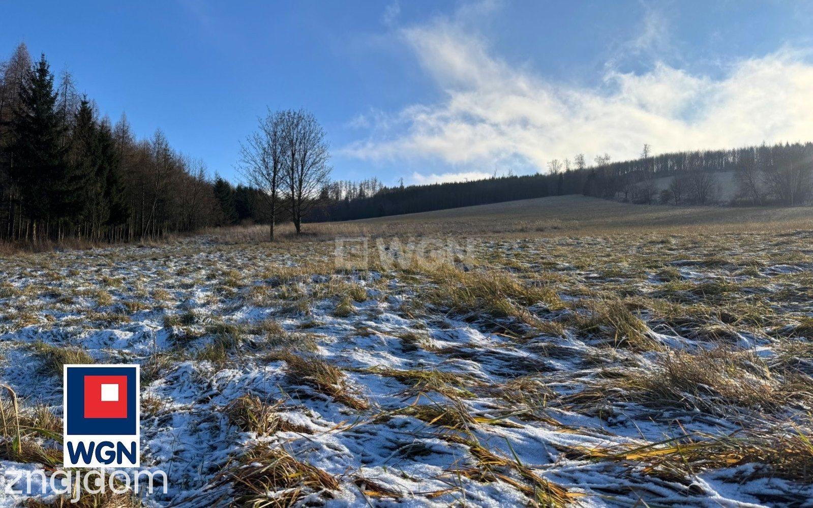 Grunt budowlany jednorodzinny na  sprzedaż Wojciechowice - Działka budowlana z pięknymi widokami pod lasem. - zdjęcie 9