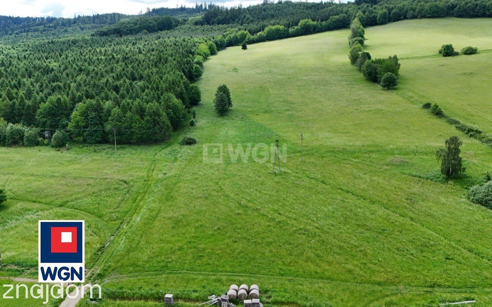 Grunt budowlany jednorodzinny na  sprzedaż Wojciechowice - Działka budowlana z pięknymi widokami pod lasem. - zdjęcie 5