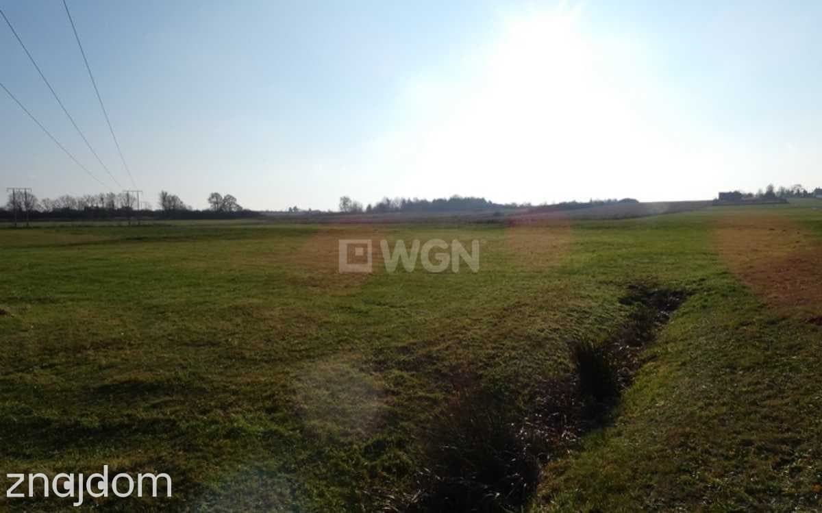 Działka na sprzedaż Ostrzeszów-Pustkowie - zdjęcie 2