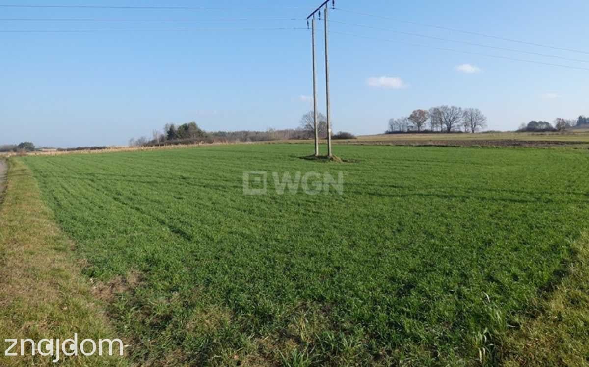 Działka na sprzedaż Ostrzeszów-Pustkowie