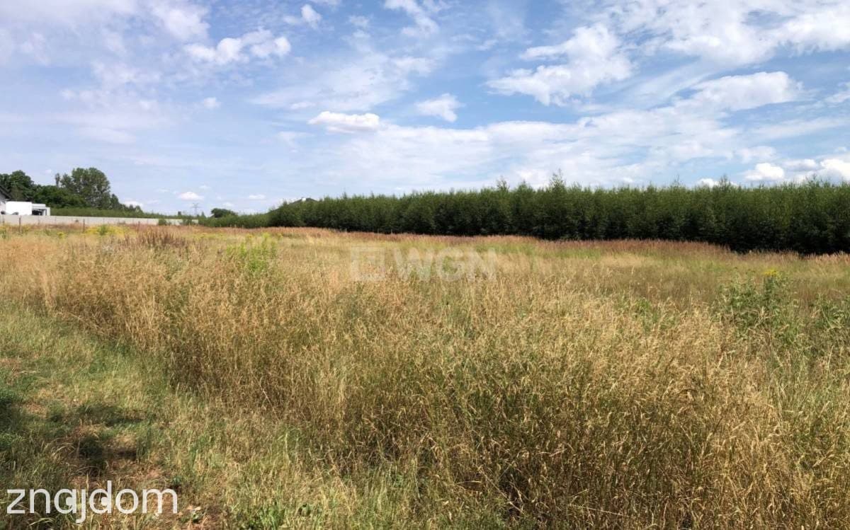 Grunt budowlany jednorodzinny na  sprzedaż Ostrów Wielkopolski - Działka budowlana położona pod lasem. - zdjęcie 2