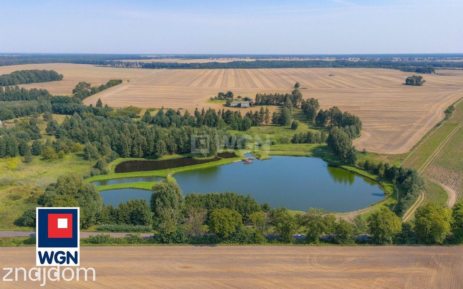 Dom na sprzedaż Trudna - Na sprzedaż dom wolnostojący 90 m2 ze stawami i dużą działką - Trudna, okolice Złotowa - zdjęcie 2