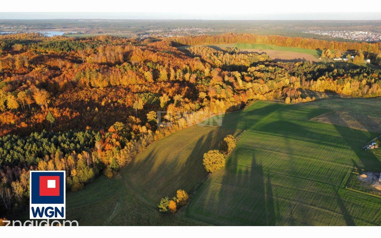 Grunt budowlany jednorodzinny na sprzedaż Gościcino - Działka z własnym lasem ? Gościcino | tylko 4 km od Wejherowa - zdjęcie 11